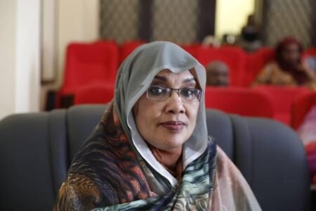 أمينة الفضل تكتب: محولات الكهرباء