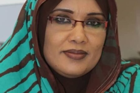 أمينة الفضل تكتب : تجديد رخص الصيدليات …مناشدة لوالي سنار