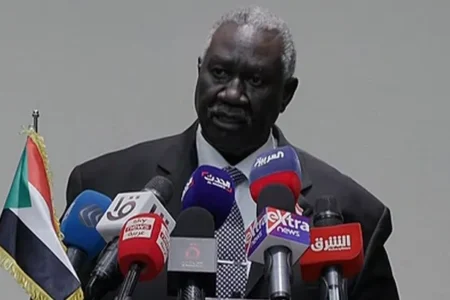 عقار: المواطن يحتاج إلى الخدمات الأساسية، وليس شعارات التحول الديمقراطي