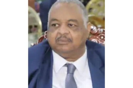 مزرعة الذباب الإلكتروني