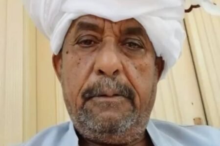 فشل بأمر الحكومة : لماذا فشل السودانيون فى الاستثمار خارج الحدود ؟