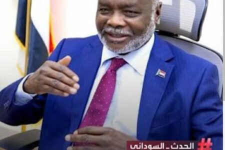 انتقادات لتصريحات منسوبة لوزير المالية حول تأييده للتعهدات المالية لمؤتمر برلين