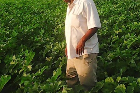 إعتقال رئيس الحزب الشيوعي في الدندر ومصدر أمني يكشف الأسباب