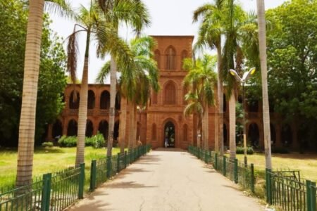 جامعة الخرطوم تصدر قرارا تلزم بموجه أساتذة الجامعة بالحضور لمباشرة العمل