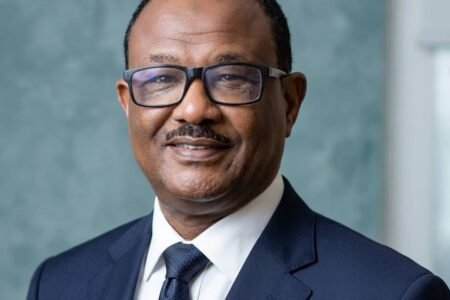 في مقال صحافي…رجل الأعمال السوداني فضل محمد خير يطرح رؤية غير مسبوقة لنهضة السودان