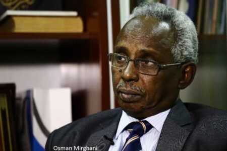 عثمان ميرغني يكتب حول ضرورة تطوير النظام الانتخابي في السودان