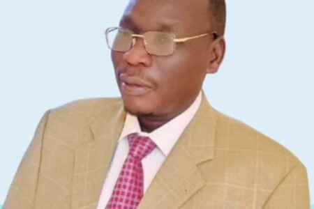 ردود فعل واسعة لإحتجاج حركة تحرير السودان على إقالة الوزير هارون