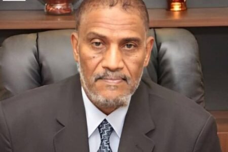 رئيس القضاء السوداني يصدر قرارا بتأسيس محكمة خاصة بحيازة الأسلحة والمفرقعات والمخدرات