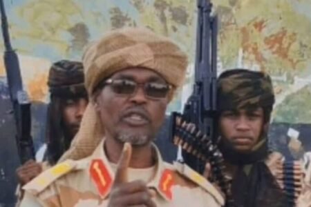 الجيش يصد هجوما للمتمردين بالطينة ويقتل قائد الهجوم