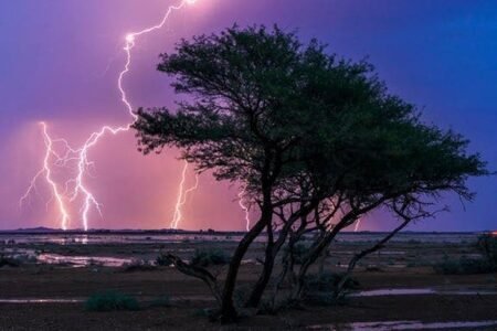 صاعقة تحرق اجهزة كهربائية بمخزن الخياري الزراعية