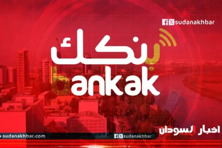 والي يتعرض لأخطر عملية نصب عبر بنكك، ورجل أعمال يُسرق 450 مليونا عبر التطبيق
