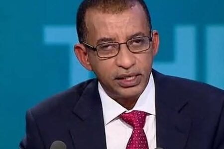 رَدَّاً على حسين خوجلي ديسمبر: راية انعتاق شامخة لا تنال منها السخرية