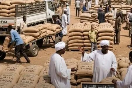توقف صادرات السمسم والتسالي بالقضارف